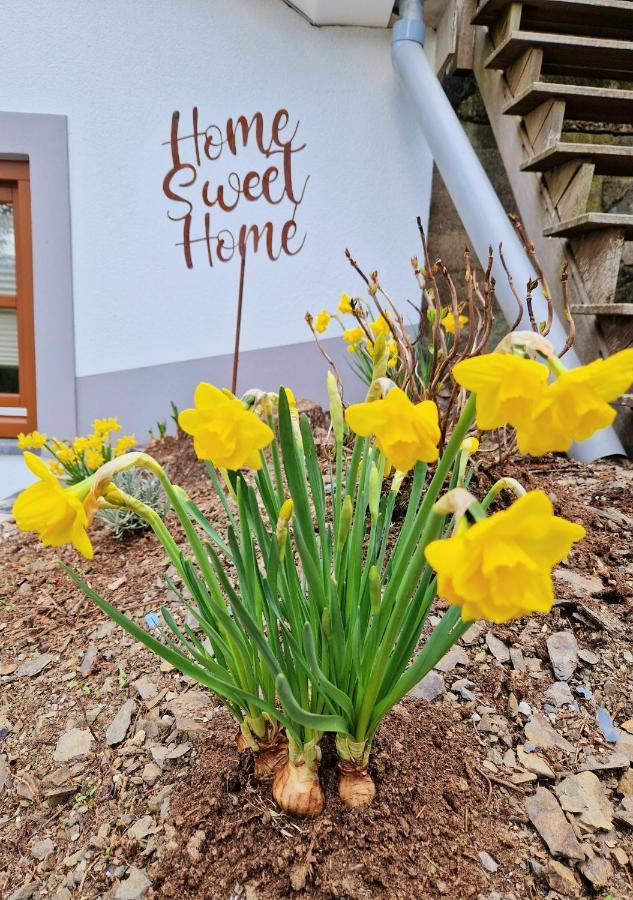 Villa Daffodils à Enscherange Extérieur photo
